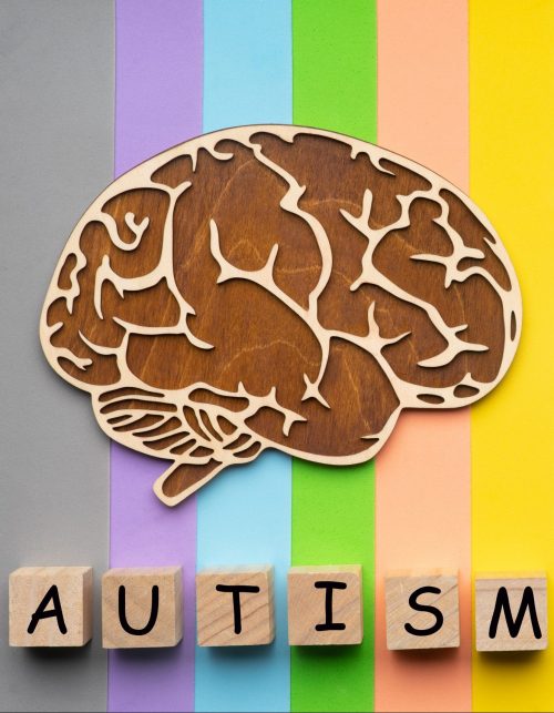 Mock up of the human brain on a colorful background. Six cubes with the inscription autism.
